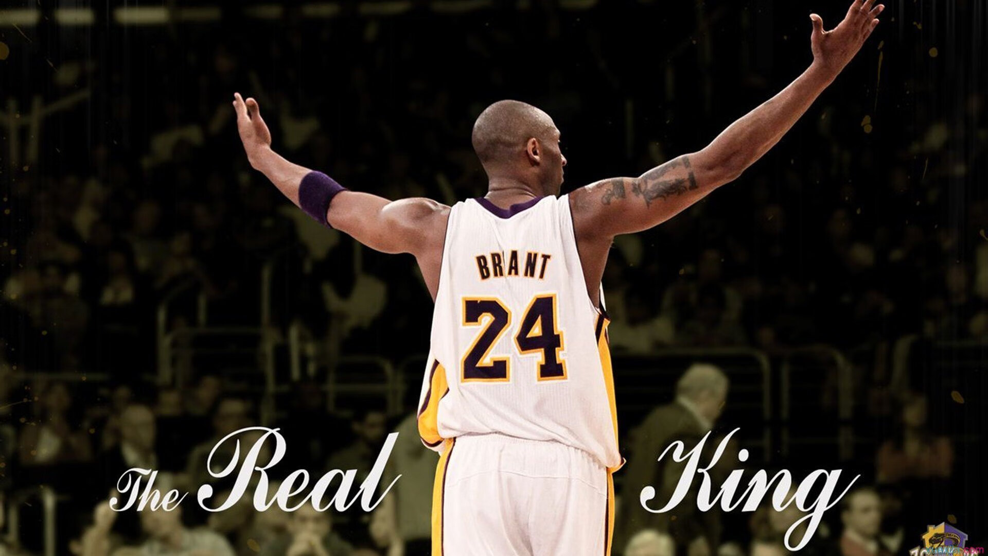 开云平台-乌鸦赢球方式老练，经验就是差距，乌鸦玩法